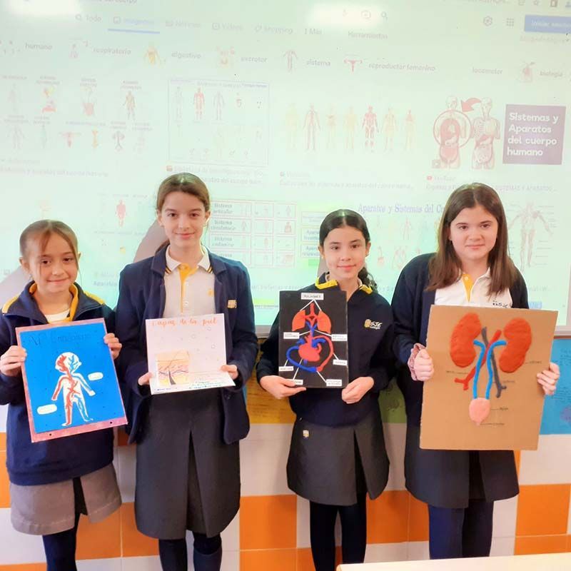 PROYECTO “LOS APARATOS DEL CUERPO HUMANO” EN 5º PRIMARIA