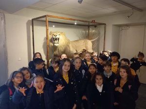 PRIMARIA VISITA EL MUSEO DE CIENCIAS NATURALES